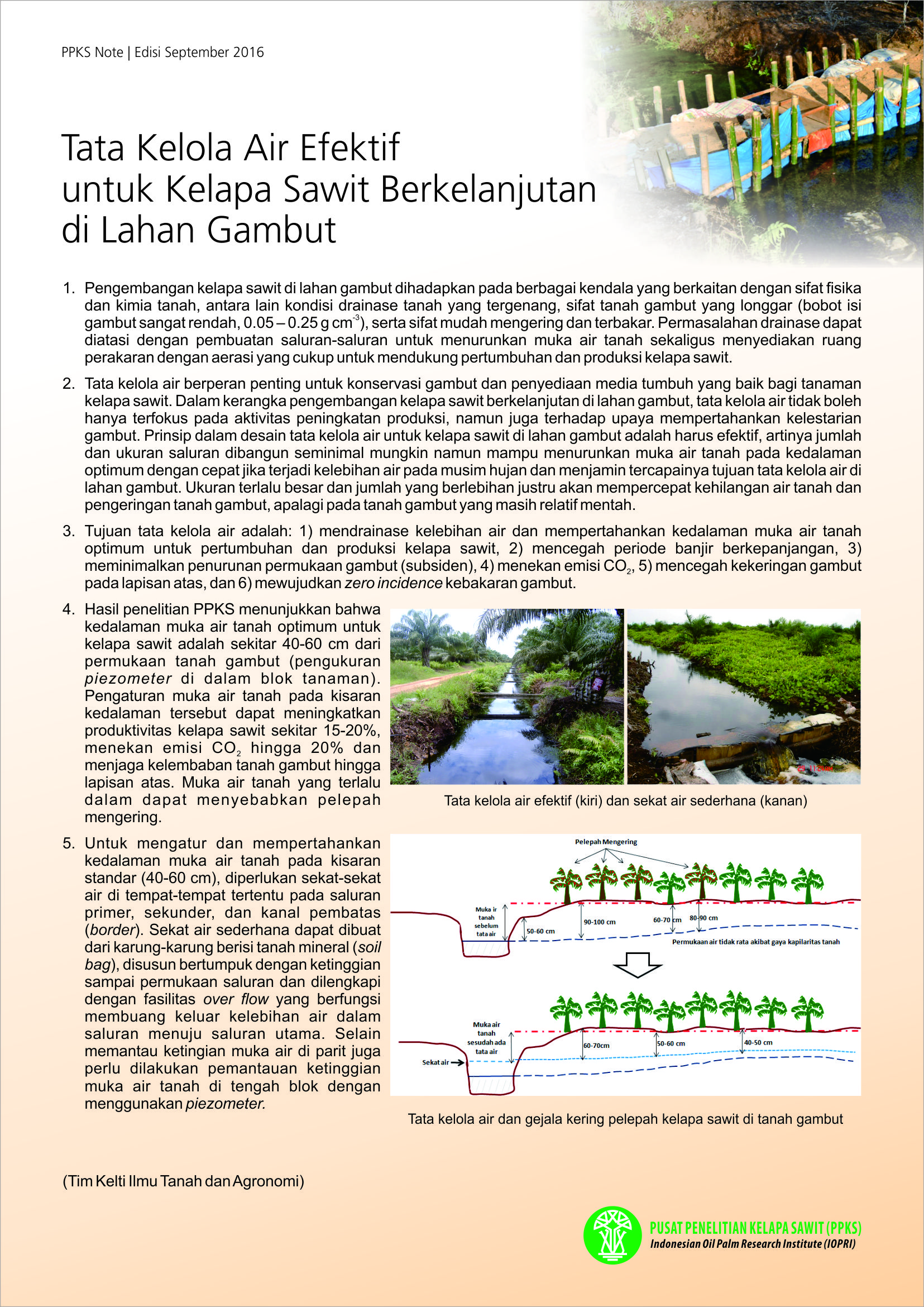 EDISI SEPTEMBER 2016 - Tata Kelola Air Efektif untuk Kelapa Sawit Berkelanjutan di Lahan Gambut