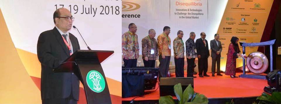 The 6th Quadrennial International Oil Palm Conference (IOPC): Smoothing the Market Disequilibria
