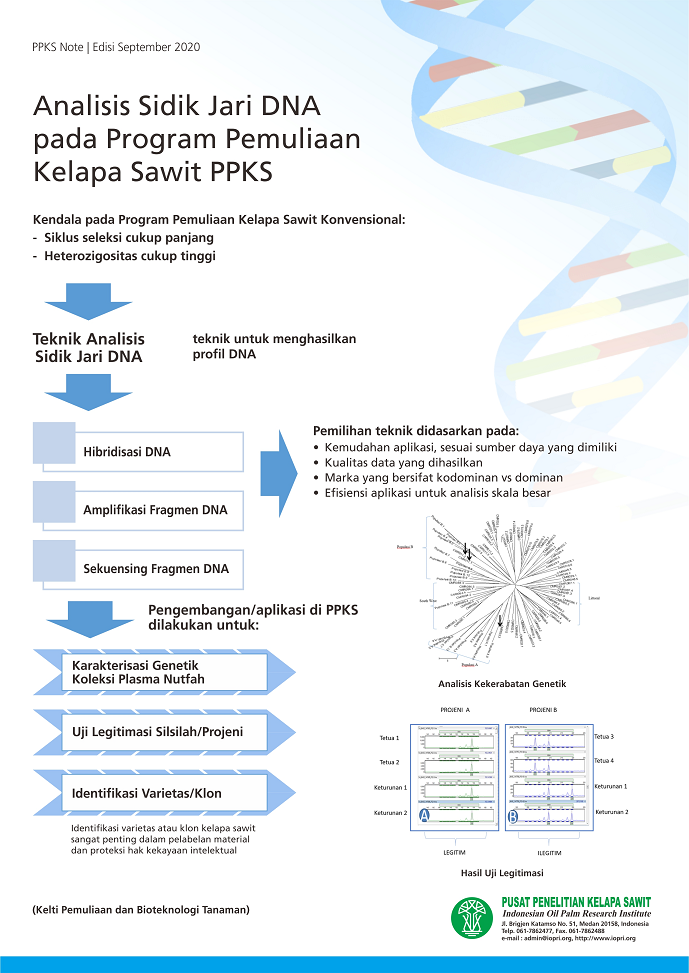 EDISI September 2020 - Analisis Sidik Jari DNA pada Program Pemuliaan Kelapa Sawit PPKS