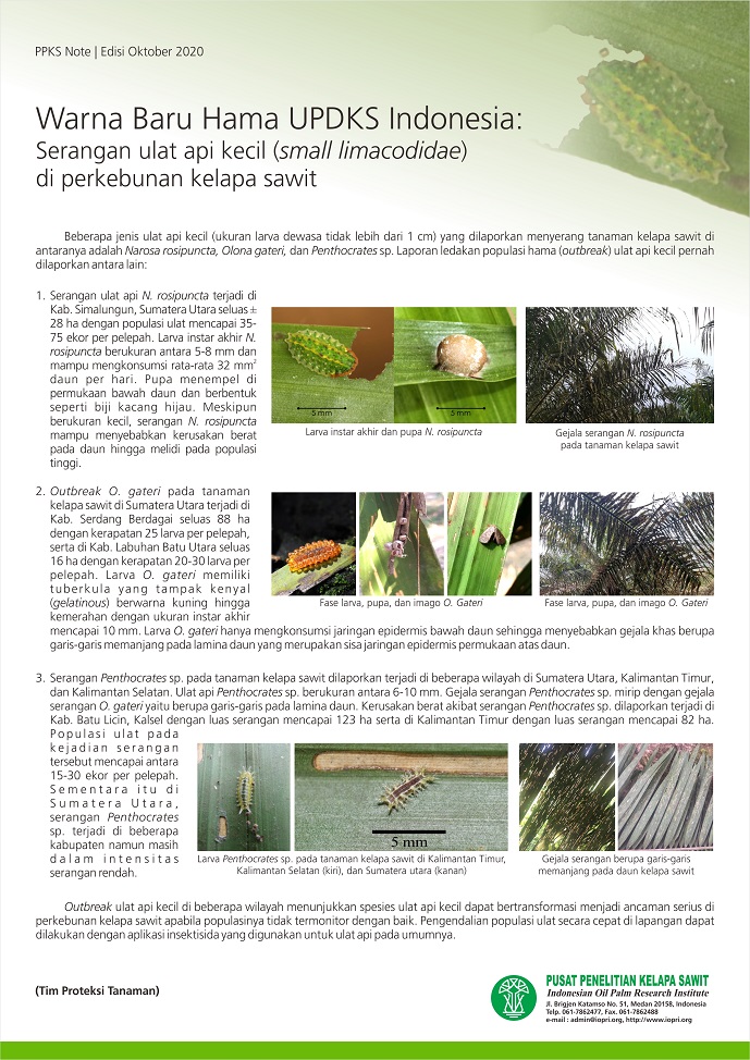 EDISI Oktober 2020 - Warna Baru Hama UPDKS Indonesia: Serangan ulat api kecil (small limacodidae) di perkebunan kelapa sawit